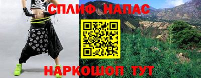шишки Бийск
