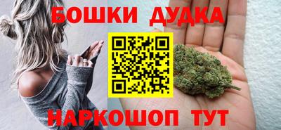 шишки Бийск