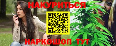 шишки Бийск